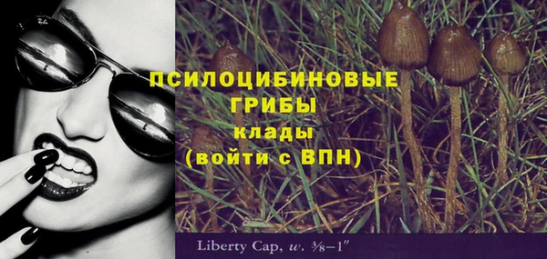 молекула духа Балахна