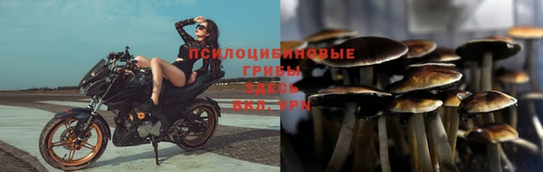 молекула духа Балахна