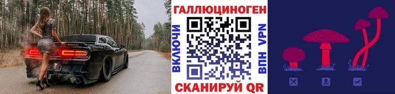 Галлюциногенные грибы Psilocybine cubensis  Красково 